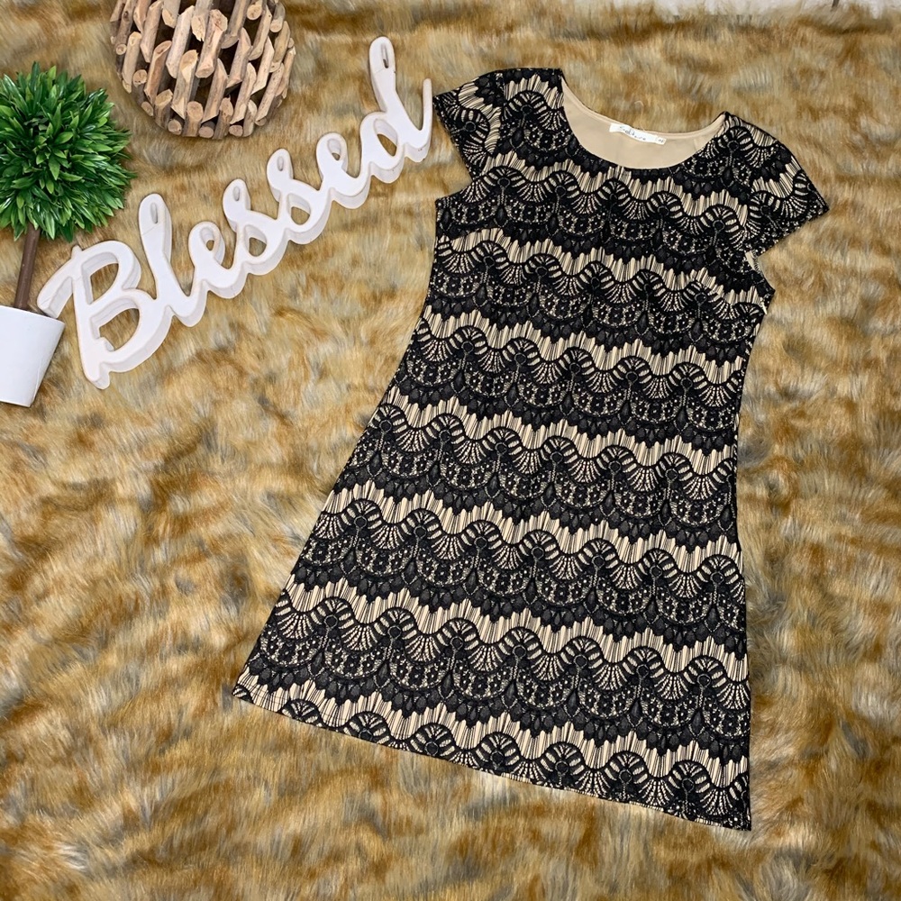 Solitaire Capsleeve Lace Mini Dress